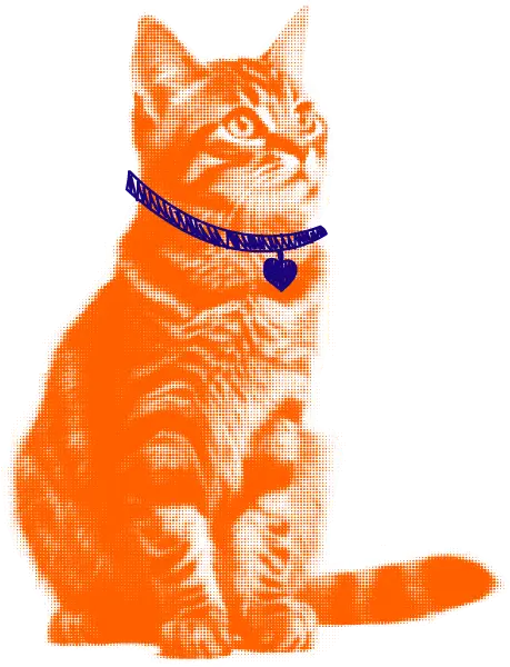 Gattino in stile pop/stampato seduto con collare con pendaglio a cuore.