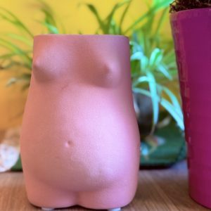 vaso donna incinta pancione e seno